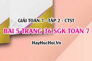 Giải bài 5 trang 36 Toán 7 Tập 2 SGK Chân trời sáng tạo